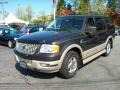 2005 Dark Stone Metallic Ford Expedition Eddie Bauer 4x4  photo #3