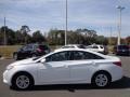 Shimmering White - Sonata GLS Photo No. 2