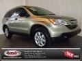 Borrego Beige Metallic 2007 Honda CR-V EX