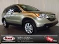 2007 Borrego Beige Metallic Honda CR-V EX  photo #1