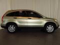 Borrego Beige Metallic - CR-V EX Photo No. 2