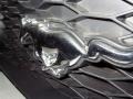 Alloy Metallic - Mustang Roush Stage 3 Coupe Photo No. 5