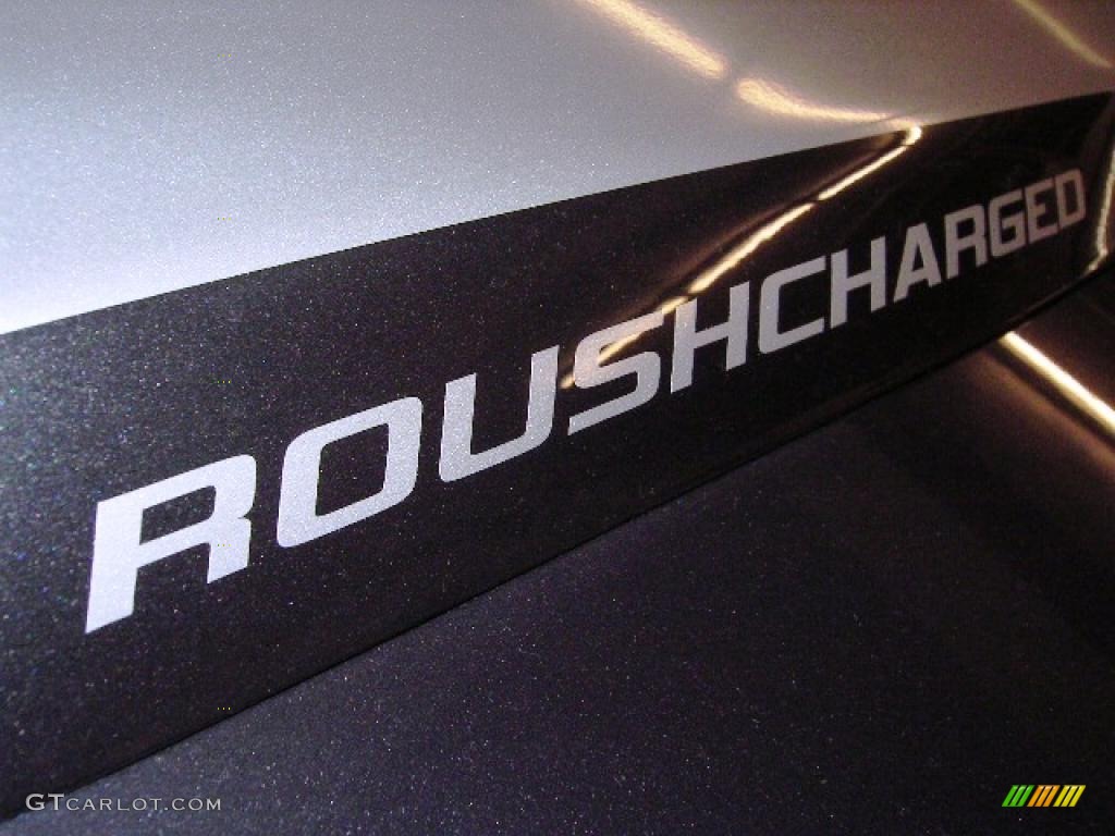 2007 Mustang Roush Stage 3 Coupe - Alloy Metallic / Dark Charcoal photo #7