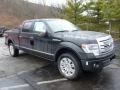 2013 Tuxedo Black Metallic Ford F150 Platinum SuperCrew 4x4  photo #1