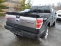 2013 Tuxedo Black Metallic Ford F150 Platinum SuperCrew 4x4  photo #2