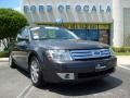 Alloy Grey Metallic - Taurus SEL Photo No. 9