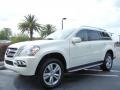 Arctic White 2010 Mercedes-Benz GL 450 4Matic Exterior