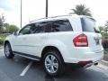 Arctic White 2010 Mercedes-Benz GL 450 4Matic Exterior