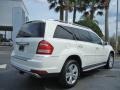 Arctic White 2010 Mercedes-Benz GL 450 4Matic Exterior