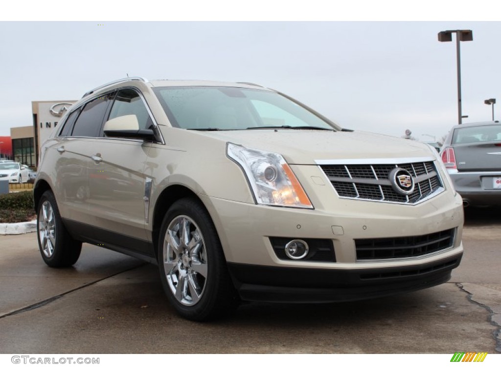 Gold Mist 2010 Cadillac SRX V6 Exterior Photo #77641821
