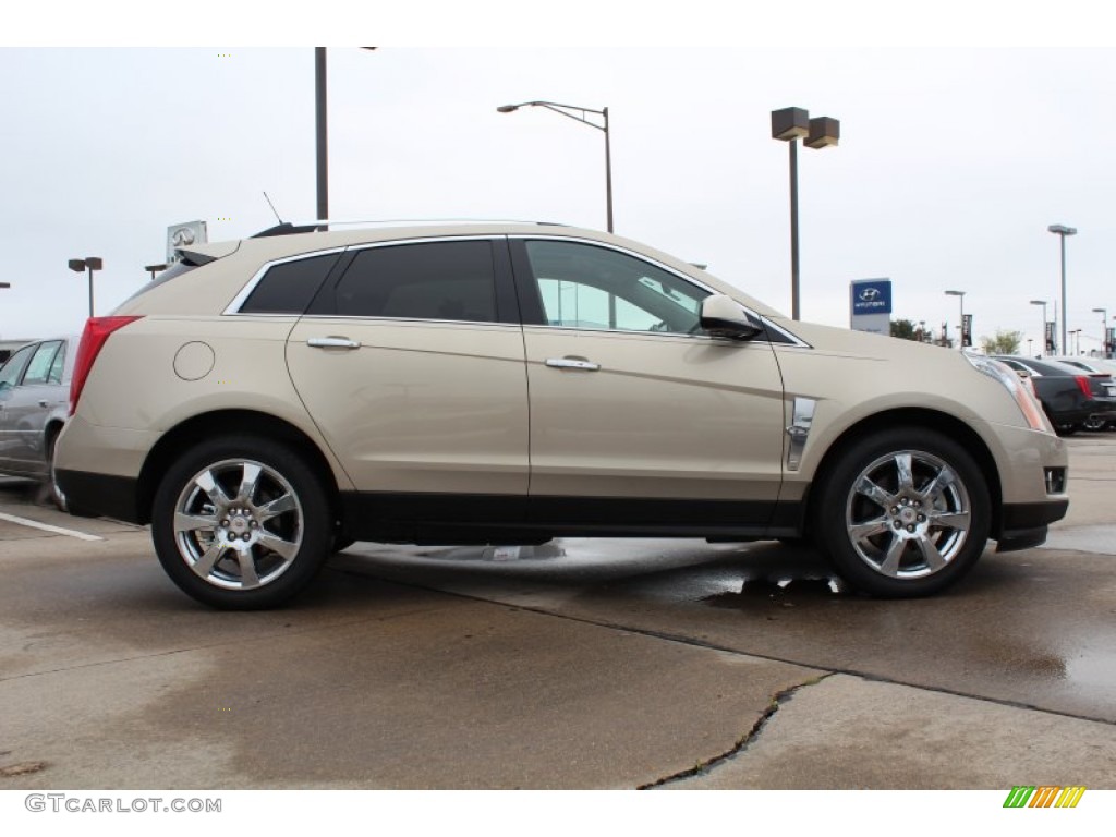 Gold Mist 2010 Cadillac SRX V6 Exterior Photo #77641911
