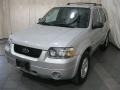 Silver Metallic 2005 Ford Escape Hybrid 4WD