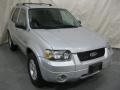 Silver Metallic - Escape Hybrid 4WD Photo No. 3