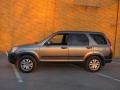 Silver Moss Metallic - CR-V EX 4WD Photo No. 2