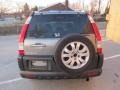 Silver Moss Metallic - CR-V EX 4WD Photo No. 4