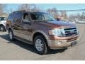 Golden Bronze Metallic 2012 Ford Expedition XLT 4x4 Exterior