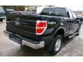 2011 Ebony Black Ford F150 XLT SuperCab 4x4  photo #10