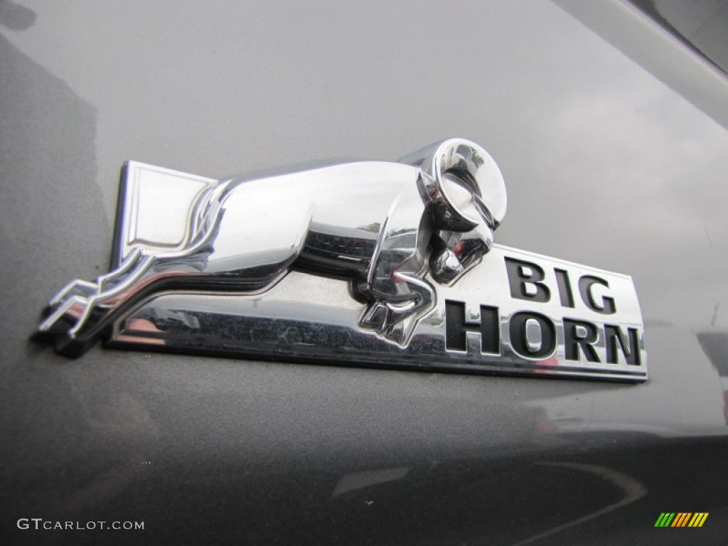 2010 Ram 1500 Big Horn Quad Cab - Mineral Gray Metallic / Dark Slate Gray photo #4