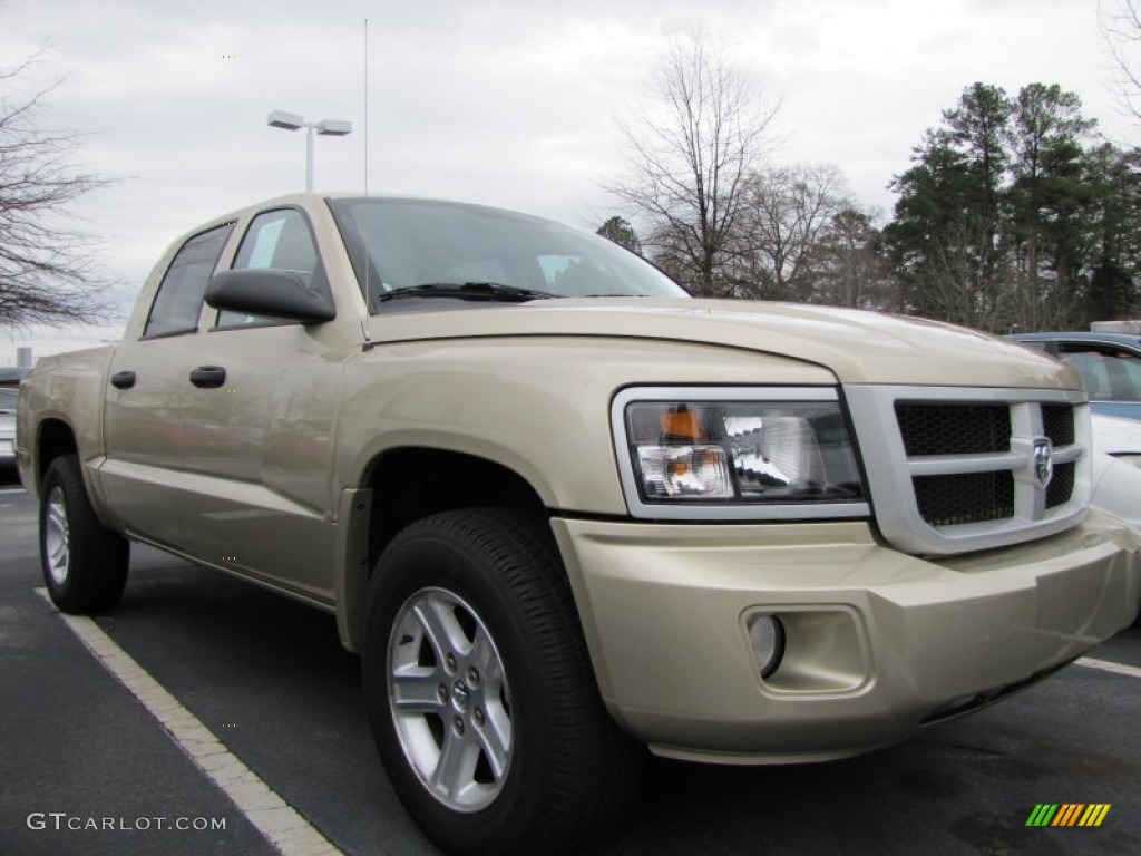 White Gold Metallic 2011 Dodge Dakota Big Horn Crew Cab Exterior Photo #77652957