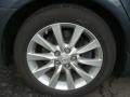 Smoky Granite Mica - LS 460 AWD Photo No. 24
