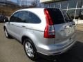 Alabaster Silver Metallic 2010 Honda CR-V EX-L AWD Exterior