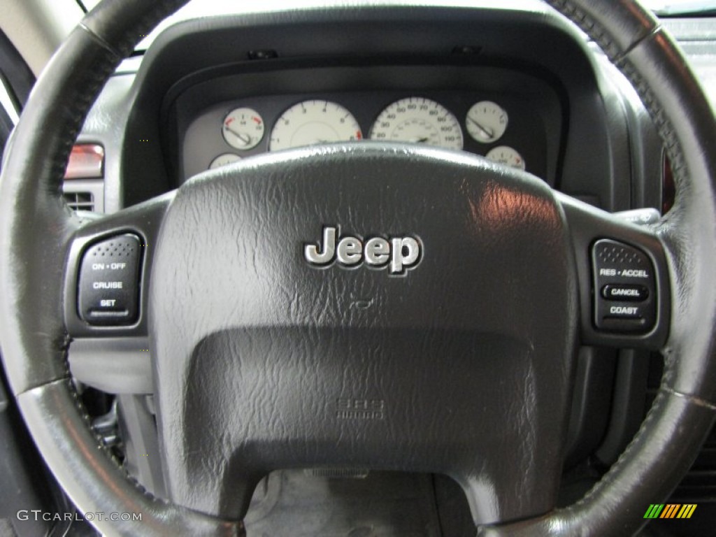 2004 Grand Cherokee Limited 4x4 - Brillant Black Crystal Pearl / Dark Slate Gray photo #17