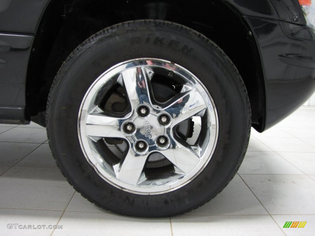 2004 Grand Cherokee Limited 4x4 - Brillant Black Crystal Pearl / Dark Slate Gray photo #28