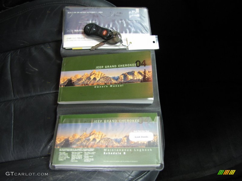 2004 Grand Cherokee Limited 4x4 - Brillant Black Crystal Pearl / Dark Slate Gray photo #31