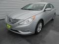 Radiant Silver - Sonata GLS Photo No. 7