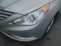 Radiant Silver - Sonata GLS Photo No. 9
