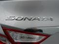Radiant Silver - Sonata GLS Photo No. 14
