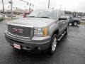 2009 Steel Gray Metallic GMC Sierra 1500 Denali Crew Cab AWD  photo #3