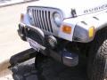 2003 Bright Silver Metallic Jeep Wrangler Rubicon 4x4  photo #16