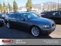 2008 Titanium Grey Metallic BMW 7 Series 750Li Sedan  photo #1