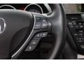 Taupe Controls Photo for 2011 Acura ZDX #77696668