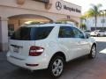 2010 Arctic White Mercedes-Benz ML 350  photo #2