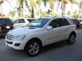 2010 Arctic White Mercedes-Benz ML 350  photo #4