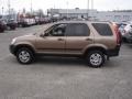Mojave Mist Metallic 2002 Honda CR-V EX 4WD Exterior
