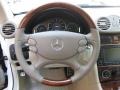 Stone Steering Wheel Photo for 2009 Mercedes-Benz CLK #77705770