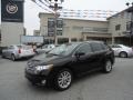 2010 Black Toyota Venza AWD  photo #43