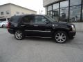 Black Raven - Escalade AWD Photo No. 5
