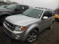 Ingot Silver Metallic - Escape Limited 4WD Photo No. 3