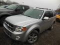 2010 Ingot Silver Metallic Ford Escape Limited 4WD  photo #3