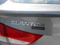 2013 Titanium Gray Metallic Hyundai Elantra Coupe SE  photo #7