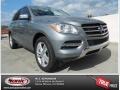 Palladium Silver Metallic - ML 350 4Matic Photo No. 1