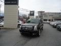 Black Raven - Escalade Luxury AWD Photo No. 52