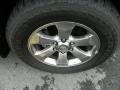 Titanium Metallic - 4Runner Limited Photo No. 8