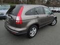 2010 Urban Titanium Metallic Honda CR-V EX-L AWD  photo #4