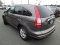 2010 Urban Titanium Metallic Honda CR-V EX-L AWD  photo #5