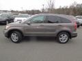 2010 Urban Titanium Metallic Honda CR-V EX-L AWD  photo #6